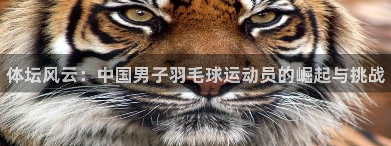 体坛风云：中国男子羽毛球运动员的崛起与挑战