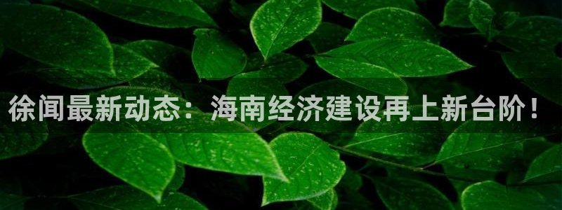 徐闻最新动态：海南经济建设再上新台阶！