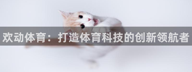 欢动体育：打造体育科技的创新领航者