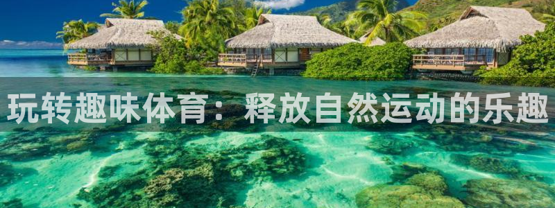 玩转趣味体育：释放自然运动的乐趣
