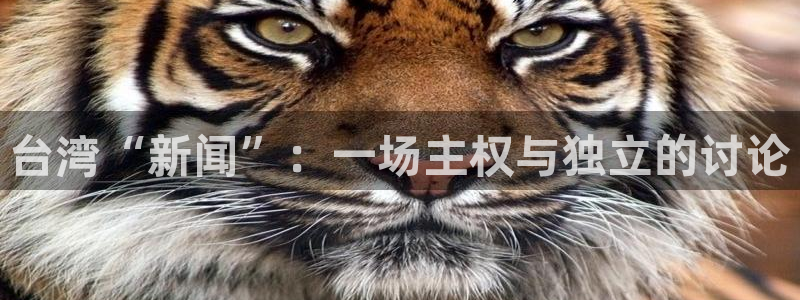 台湾“新闻”：一场主权与独立的讨论