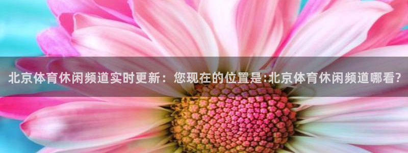 北京体育休闲频道实时更新：您现在的位置是:北京体育休闲频道哪看?