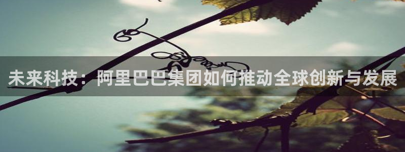 未来科技：阿里巴巴集团如何推动全球创新与发展