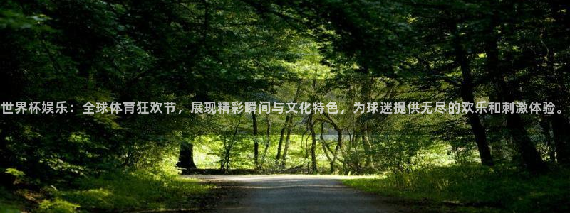 世界杯娱乐：全球体育狂欢节，展现精彩瞬间与文化特色，为球迷提供无尽的欢乐和刺激体验。