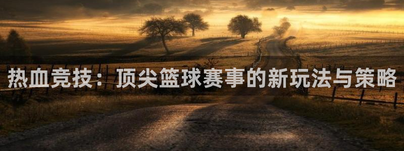 热血竞技：顶尖篮球赛事的新玩法与策略