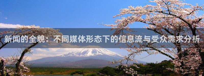 新闻的全貌：不同媒体形态下的信息流与受众需求分析
