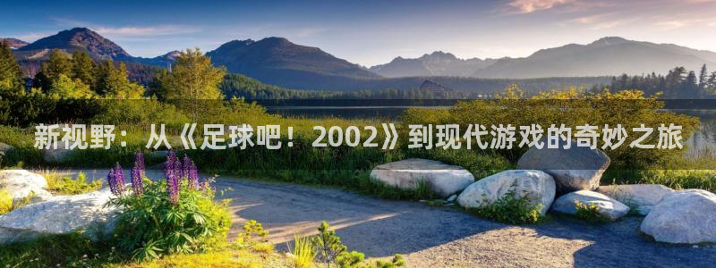 新视野：从《足球吧！2002》到现代游戏的奇妙之旅