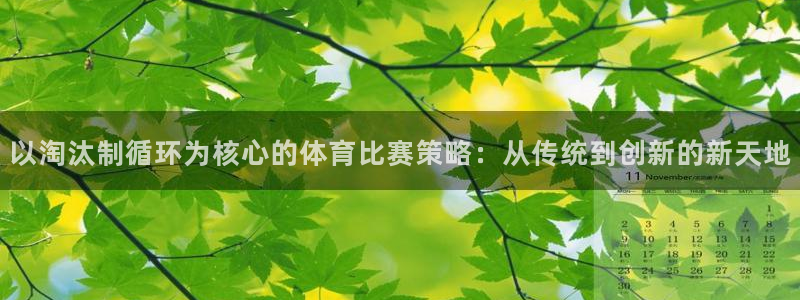 以淘汰制循环为核心的体育比赛策略：从传统到创新的新天地