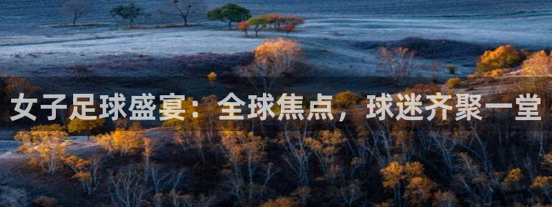 女子足球盛宴：全球焦点，球迷齐聚一堂