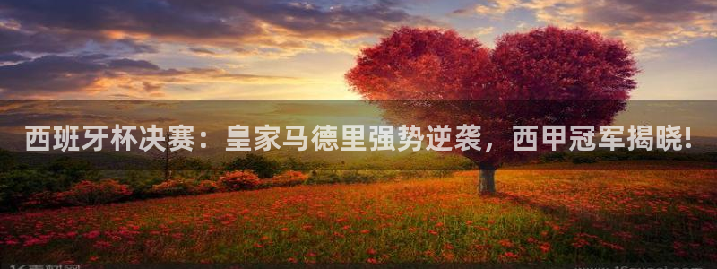 西班牙杯决赛：皇家马德里强势逆袭，西甲冠军揭晓!