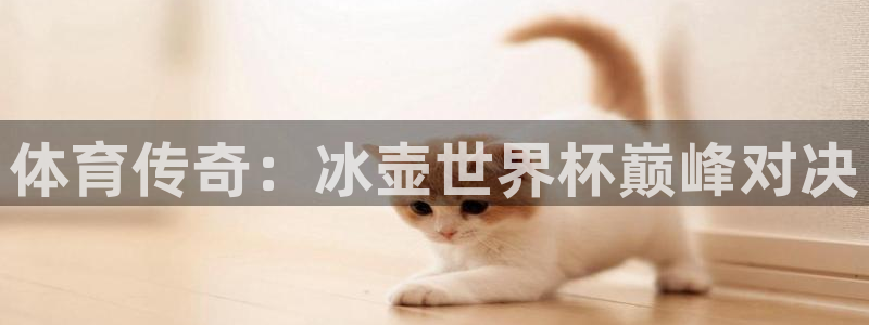 体育传奇：冰壶世界杯巅峰对决