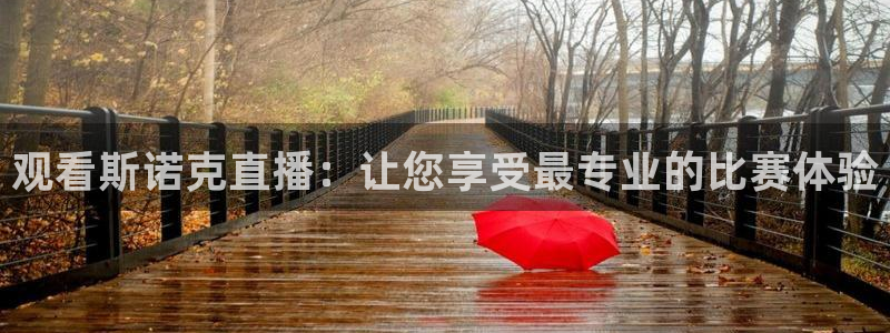 观看斯诺克直播：让您享受最专业的比赛体验