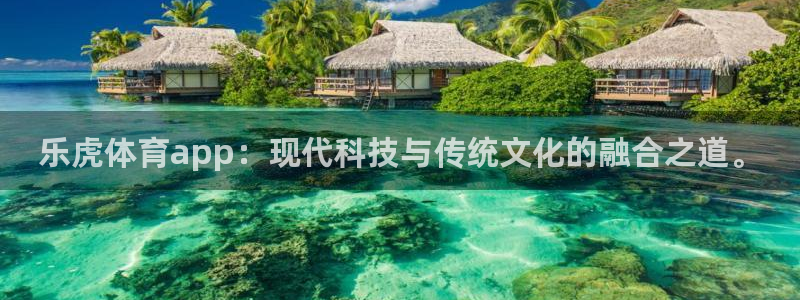 乐虎体育app：现代科技与传统文化的融合之道。