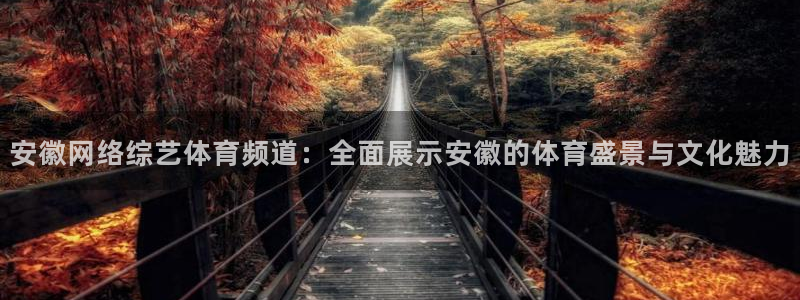 安徽网络综艺体育频道：全面展示安徽的体育盛景与文化魅力