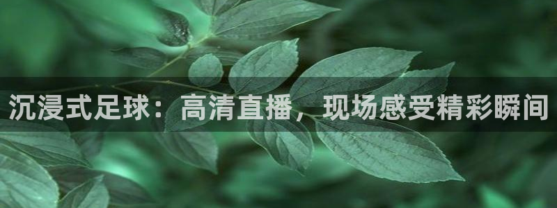 沉浸式足球：高清直播，现场感受精彩瞬间