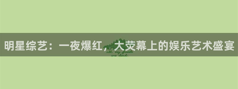 明星综艺：一夜爆红，大荧幕上的娱乐艺术盛宴