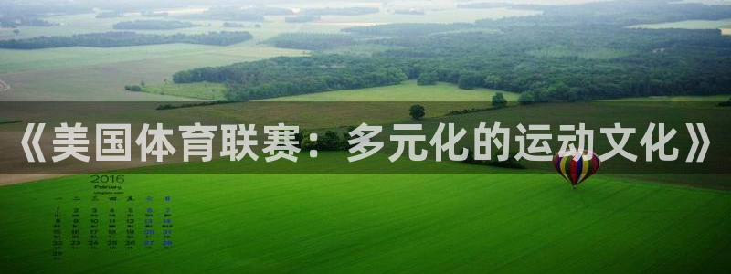 《美国体育联赛：多元化的运动文化》